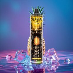 Ananasový Led JNR Calavera 11000 Puffs Jednorázová Vapka s 850 mAh Baterií a 21ml Náplní