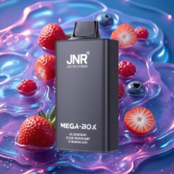 Borůvka Kyselá Malina Jahoda JNR Mega Box 25000 Puffs Jednorázová Vape s 30ml E-liquid a Typem-C Rychlé Nabíjení