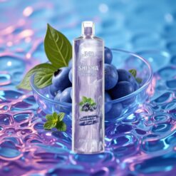 Borůvka Máta JNR Shisha Hookah 12000 Puffs 24ml/750mAh