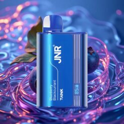 Borůvka Černý Rybíz JNR Tank 10000 Puffs Digitální Displej Dvojité Síťové Cívky