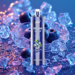 Borůvkový Led JNR Shisha Hookah 12000 Puffs 24ml Type-C