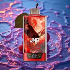 Višeň-Borůvka JNR Falcon Pro 28000 Jednorázová Vape s USB Type-C a Smart Display