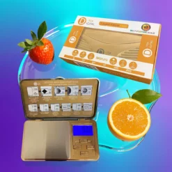 Přesná přenosná digitální váha D-Tek 500g